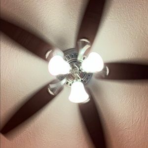 Meet your Posher, Jackson